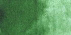 W&N ACUARELA COTMAN 1/2 GODET VERDE HOOKER CLARO - Imagen 3