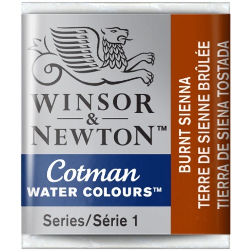 W&N ACUARELA COTMAN 1/2 GODET TIERRA SIENA TOSTADA