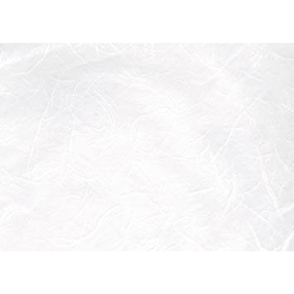 PAPEL DE ARROZ BLANCO