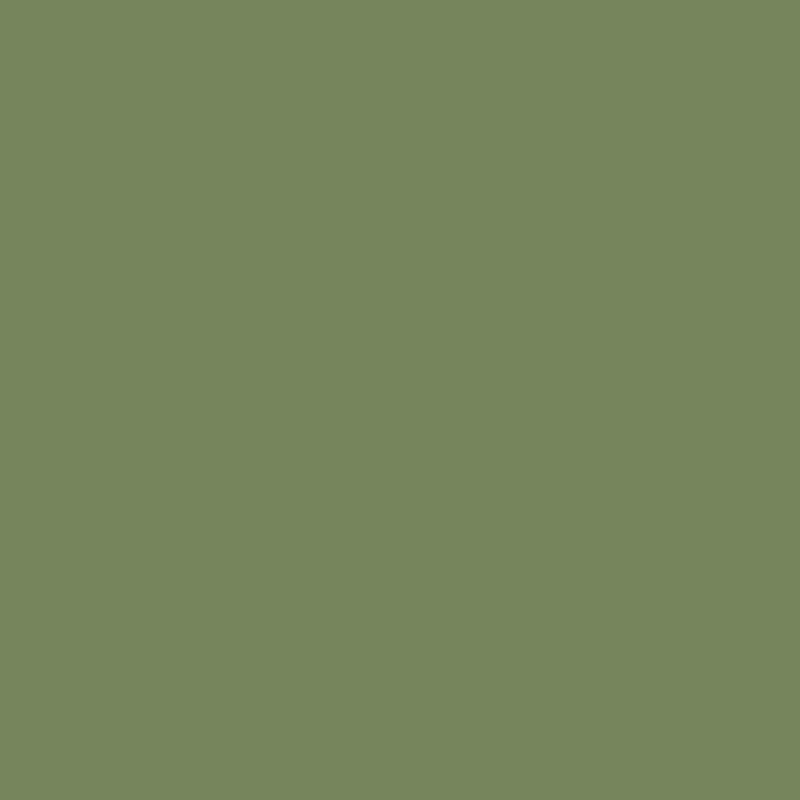 AMERICANA 59ml DA106 (Avocado claro) - Imagen 2
