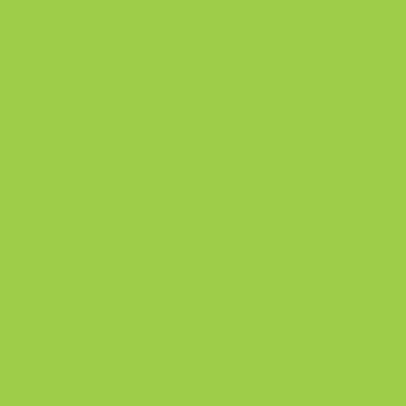 AMERICANA 59ml DA134 (Verde amarillo) - Imagen 2